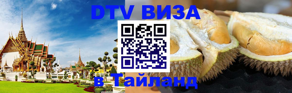 Оформление DTV визы под ключ: стоимость и тарифы, только загранпаспорт - Исламабад  20.11.2025 